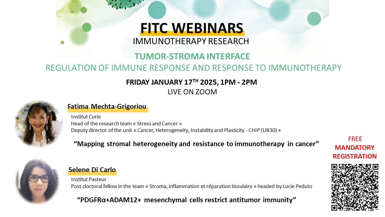 FITC WEBINARS IMMUNOTHERAPY RESEARCH Tumor-Stroma Interface Regulation Of immune response and response to immunotherapy
