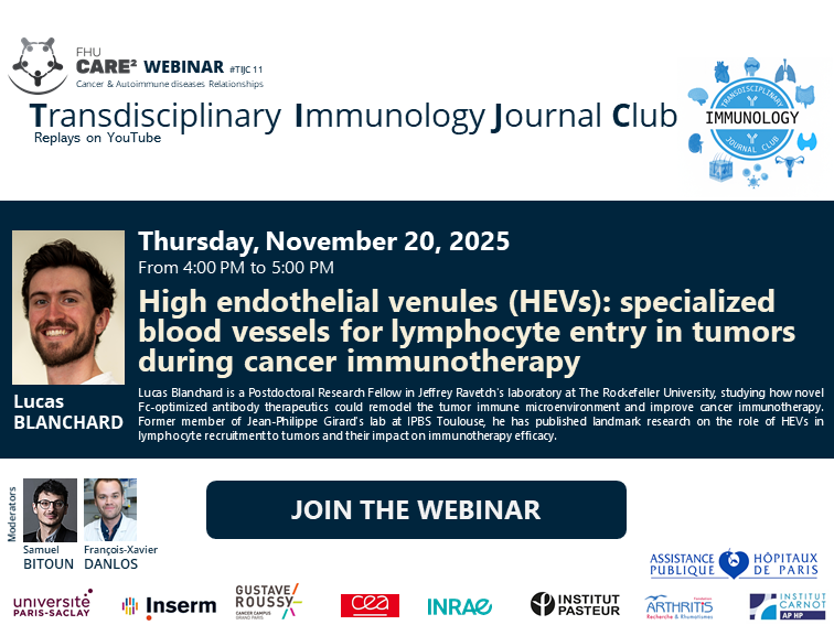 High endothelial venules (HEVs): specialized blood vessels for lymphocyte entry in tumors during cancer immunotherapy #TIJC 11