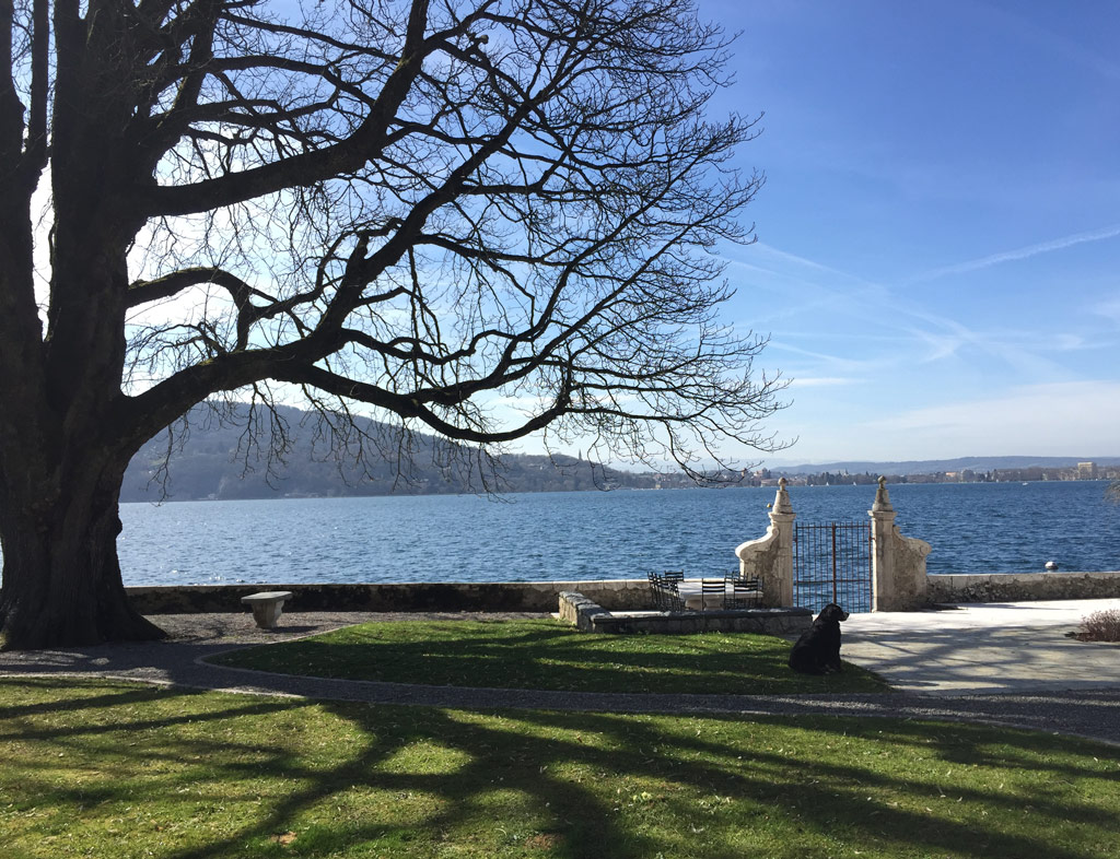 INTERNATIONAL SUMMER SCHOOL on CAR‑T CELLS, BISPECIFICS and ANTIBODY‑DRUG CONJUGATES in AUTOIMMUNE DISEASES